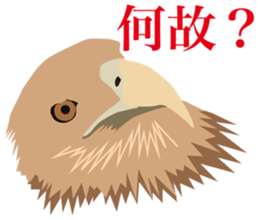 40 little birds sticker #4995726