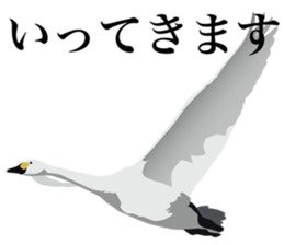 40 little birds sticker #4995728