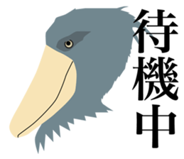 40 little birds sticker #4995730