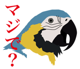 40 little birds sticker #4995734