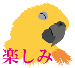 40 little birds sticker #4995737