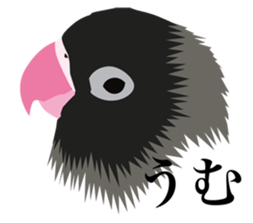 40 little birds sticker #4995738