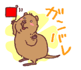 Quokka Family sticker #4996536