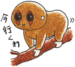 Own pace of slow loris sticker #5000313