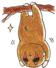 Own pace of slow loris sticker #5000323