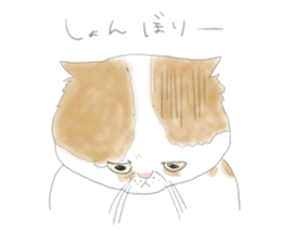 Soy of one day. sticker #5001024