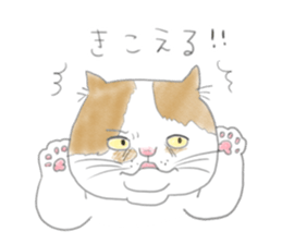 Soy of one day. sticker #5001036