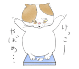 Soy of one day. sticker #5001053