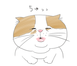 Soy of one day. sticker #5001060