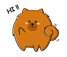 Naughty Pomeranian sticker #5001062