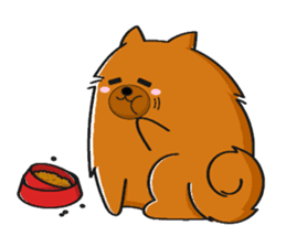 Naughty Pomeranian sticker #5001072