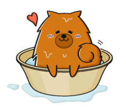 Naughty Pomeranian sticker #5001078