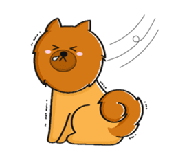 Naughty Pomeranian sticker #5001080