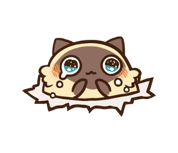 Siamese Cat Bon sticker #5003446