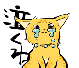 KYAN is a cat of share house. Vol.2 sticker #5005599