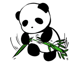 PANDA Senior sticker #5007304