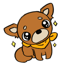 Genki Chihuahua sticker #5010426