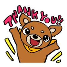 Genki Chihuahua sticker #5010429