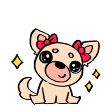 Genki Chihuahua sticker #5010433