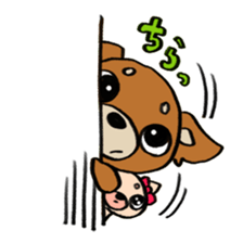 Genki Chihuahua sticker #5010436