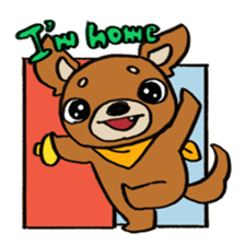 Genki Chihuahua sticker #5010449