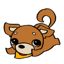 Genki Chihuahua sticker #5010453