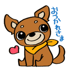 Genki Chihuahua sticker #5010455