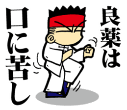 luohan quan shaolin kung fu sticker #5010548