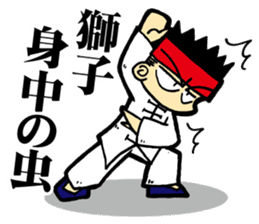 luohan quan shaolin kung fu sticker #5010572