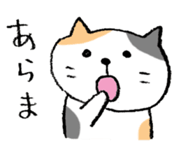 The real stray cat trio sticker #5011806