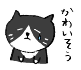 The real stray cat trio sticker #5011814