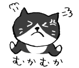 The real stray cat trio sticker #5011815