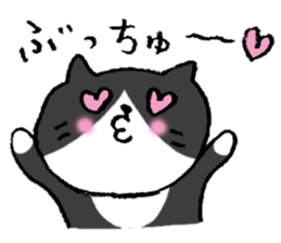 The real stray cat trio sticker #5011819