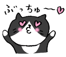 The real stray cat trio sticker #5011819