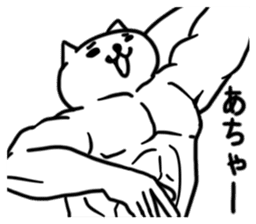 WELL-MUSCLED CAT sticker #5013143