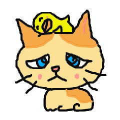 Cat and duckling(funny face version)