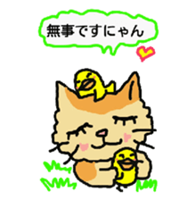 Cat and duckling(funny face version) sticker #5014177