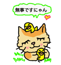 Cat and duckling(funny face version) sticker #5014177