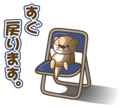 Everyday otter! sticker #5017446