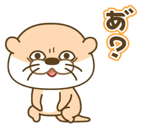 Everyday otter! sticker #5017448
