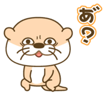 Everyday otter! sticker #5017448