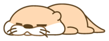 Everyday otter! sticker #5017458