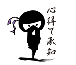 Ninja"Shadow" & White residents sticker #5017908