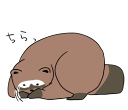 Mr. Araukuma sticker #5020769