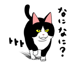 A little fat cat 2 sticker #5021231