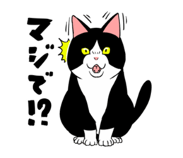 A little fat cat 2 sticker #5021240