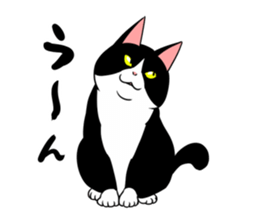 A little fat cat 2 sticker #5021244