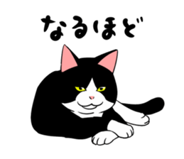 A little fat cat 2 sticker #5021245