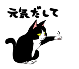 A little fat cat 2 sticker #5021247