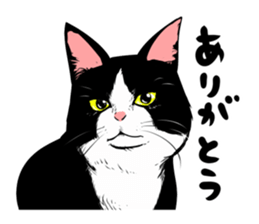 A little fat cat 2 sticker #5021252